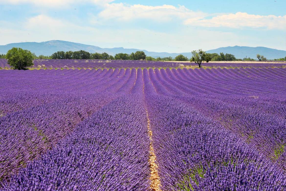 Roulotte Bohemian Lover In Provence, Валансоль Экстерьер фото