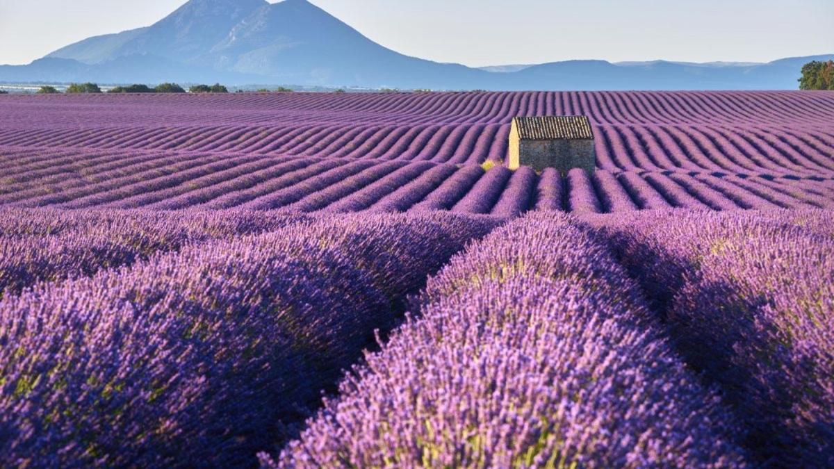 Roulotte Bohemian Lover In Provence, Валансоль Экстерьер фото